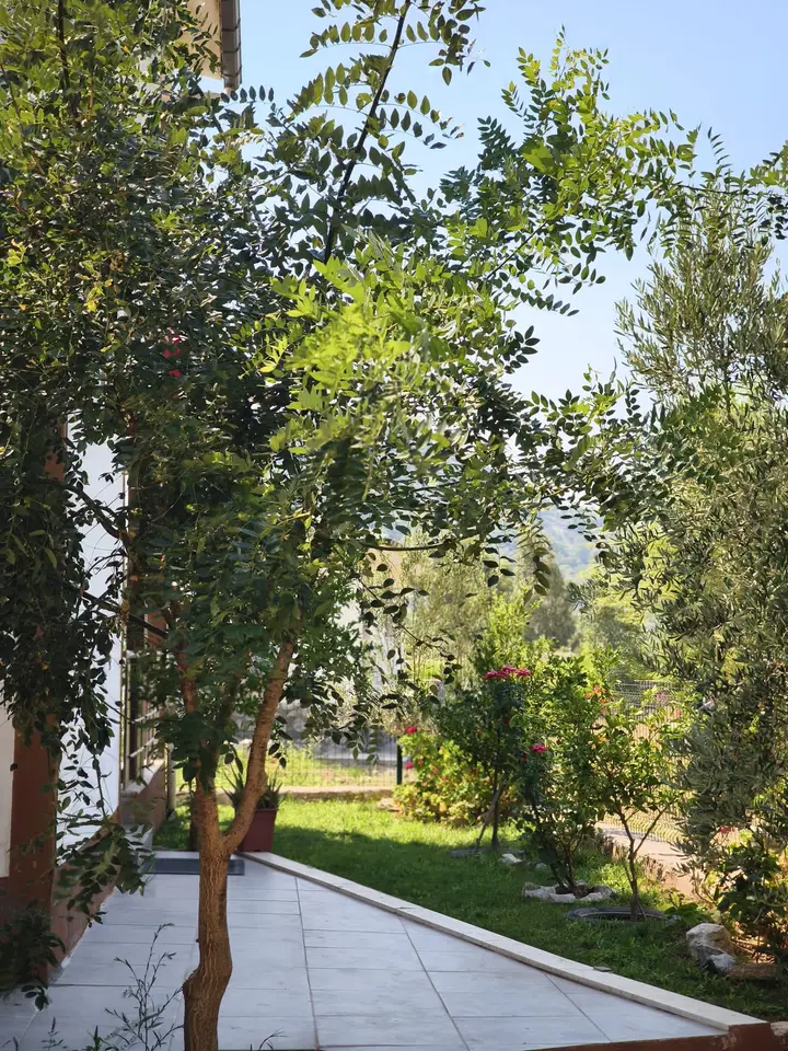 Tiled path along the lawn in the shade of leafy trees