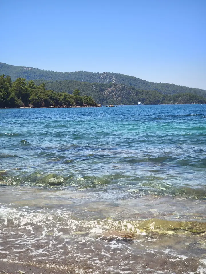 Clear sea by the shore, with forested hills across the water