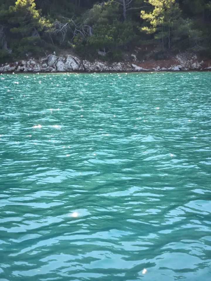 Turquoise sea in front of a rocky shore covered with pine trees